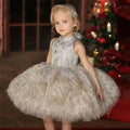 Princess Dress