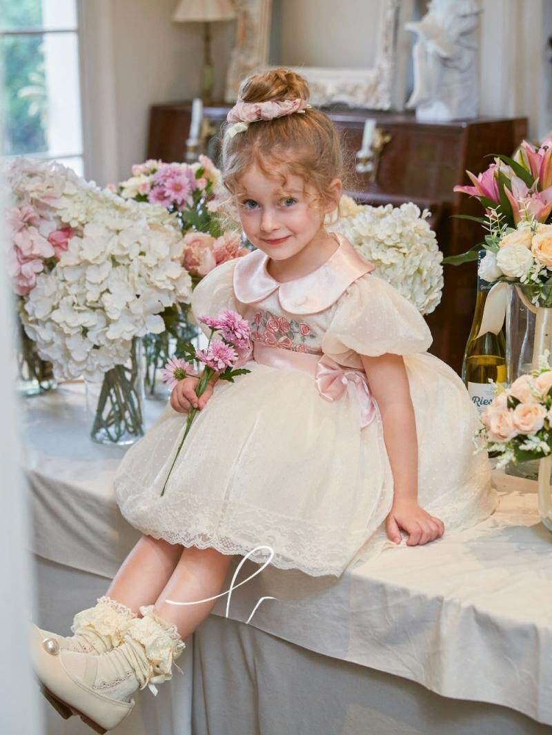 Girl's Embroidered Mesh Princess Dress with Doll Collar