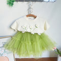 Rabbit Mesh Skirt Two-Piece Set