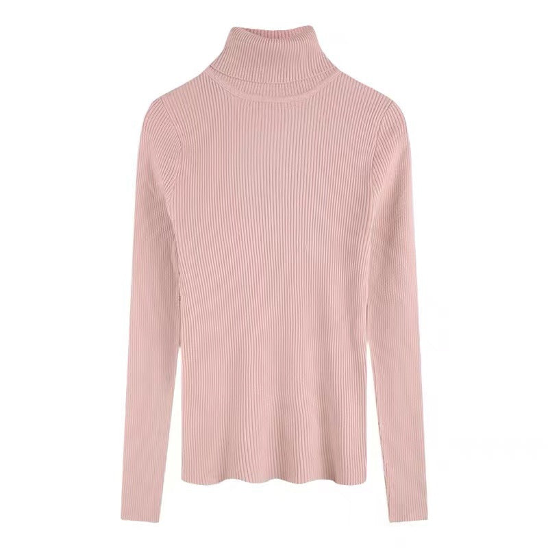 Bottoming Shirt