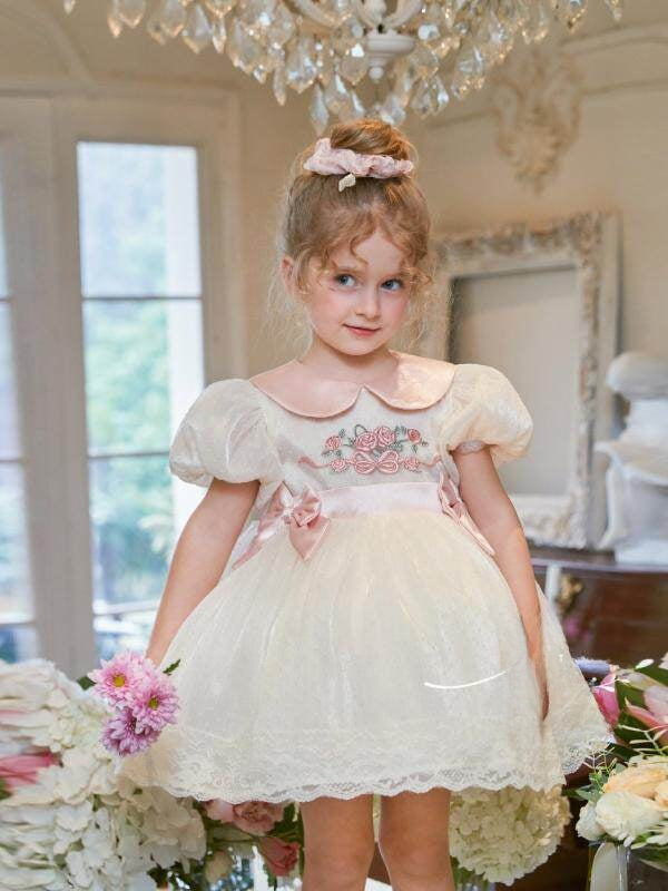 Girl's Embroidered Mesh Princess Dress with Doll Collar