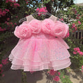 Girl's Party Dress