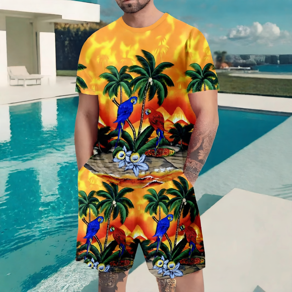 Printed shorts and short sleeves