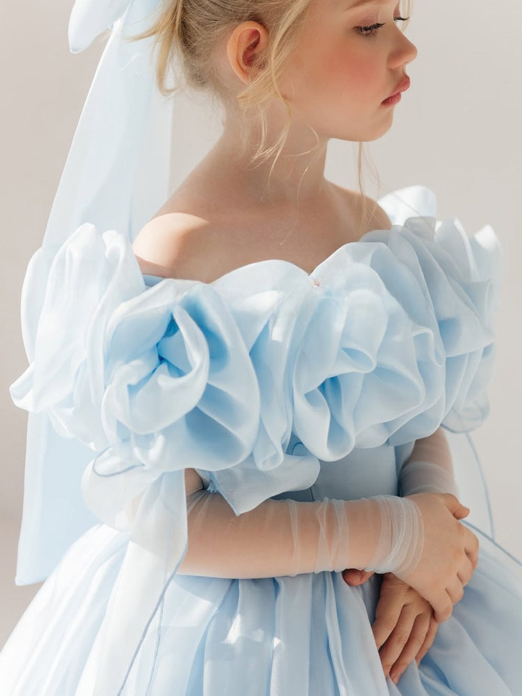 Blue Princess Tutu Dress for Girls