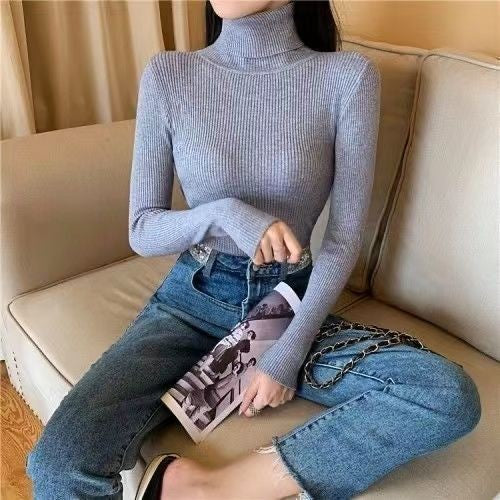 Bottoming Shirt