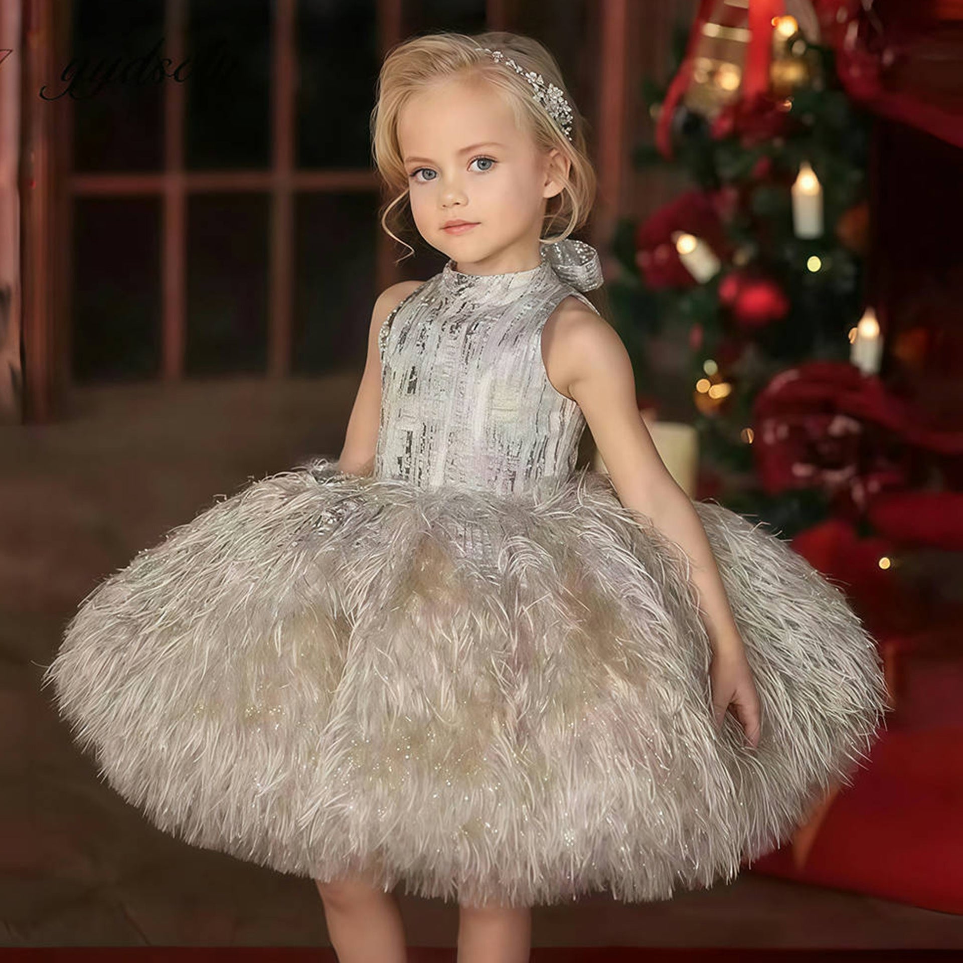 Princess Dress