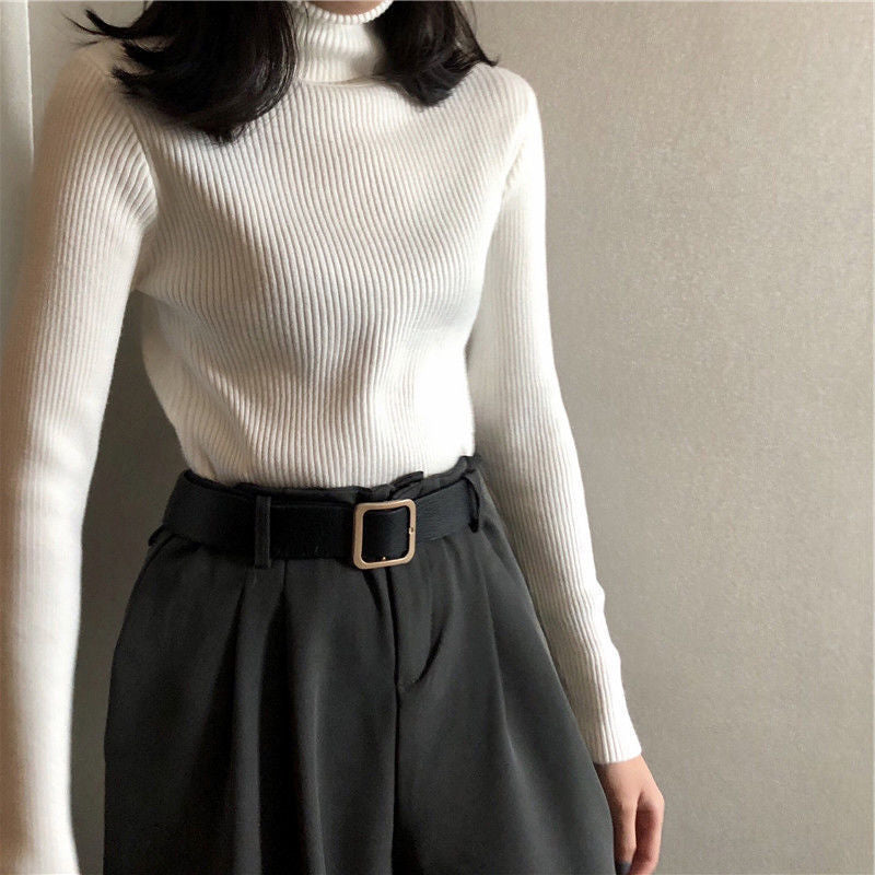 Bottoming Shirt